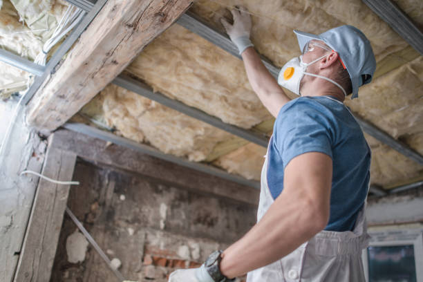 Best Insulation Maintenance and Repair in Reading, OH